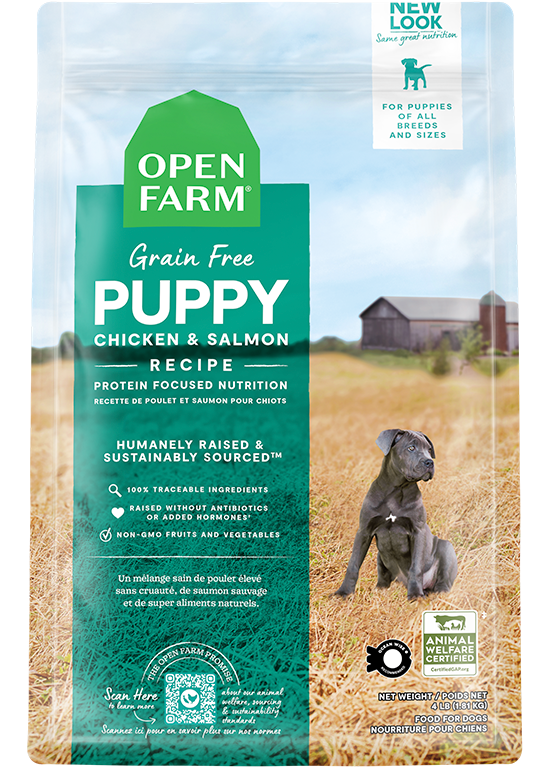 Grain-Free Chicken & Salmon Recipe for Puppies