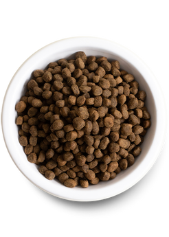 Salmon & Sweet Potato Grain-Free Puppy Food