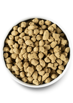 Grain-Free Chicken & Salmon Freeze-Dried Raw Recipe for Puppies (Meal or Mixer, 13.5 oz)