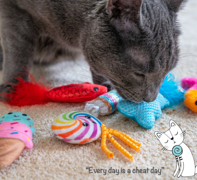 Catstages Kitty Sweet Treats Cat Toys - 6 Pack
