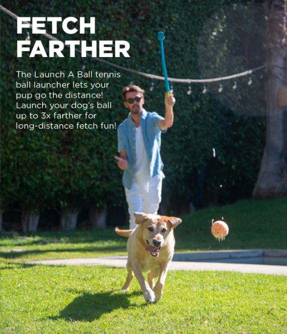 Launch A Ball Squeak Dog Ball Launcher