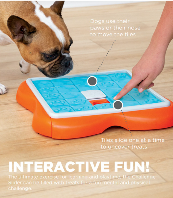 Challenge Slider Interactive Treat Puzzle Dog Toy