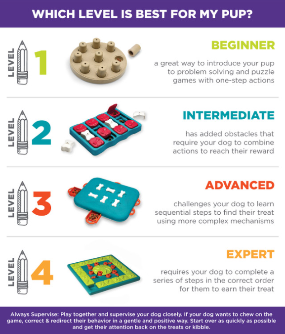 Challenge Slider Interactive Treat Puzzle Dog Toy