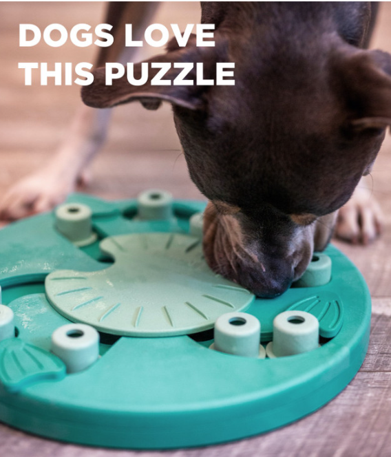 Dog Worker Interactive Treat Puzzle Dog Toy