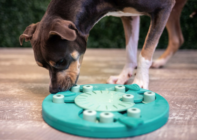 Dog Worker Interactive Treat Puzzle Dog Toy