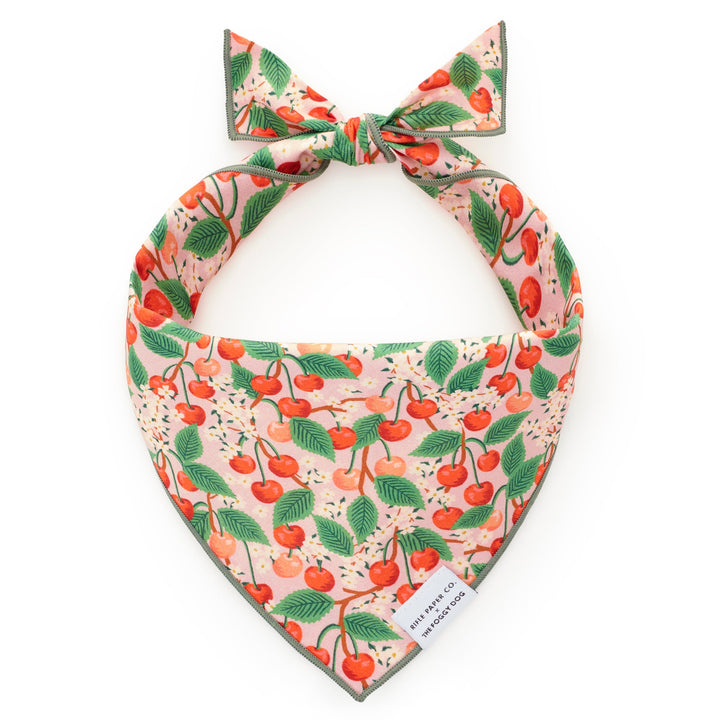 Rifle Paper Co. x TFD Cherry Blossom Spring Bandana