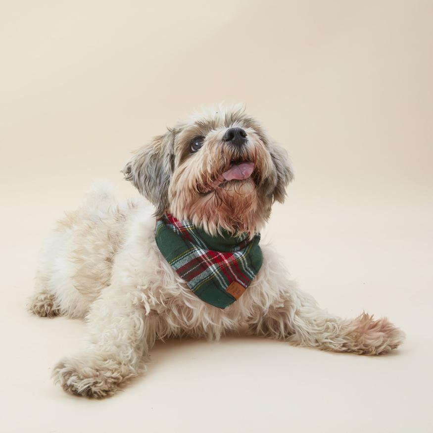Holly Jolly Flannel Holiday Bandana