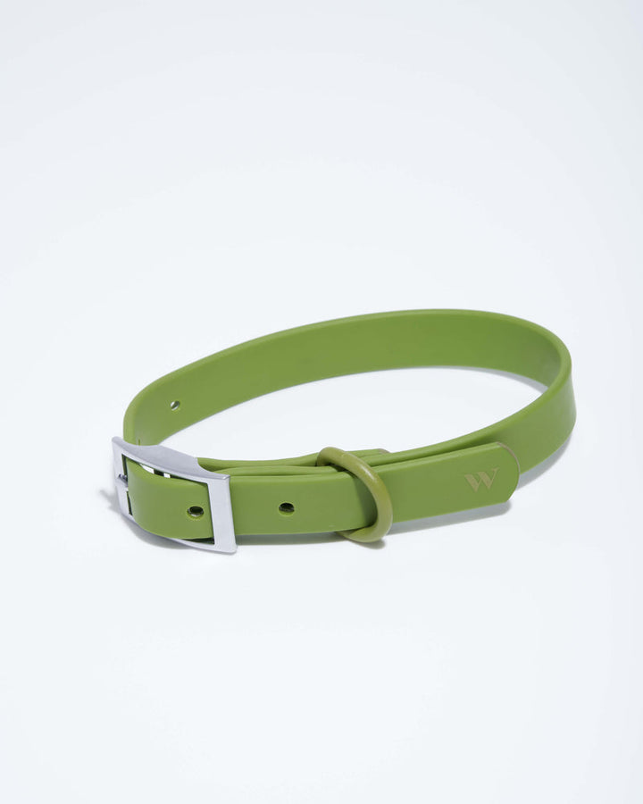 Adjustable Dog Collar