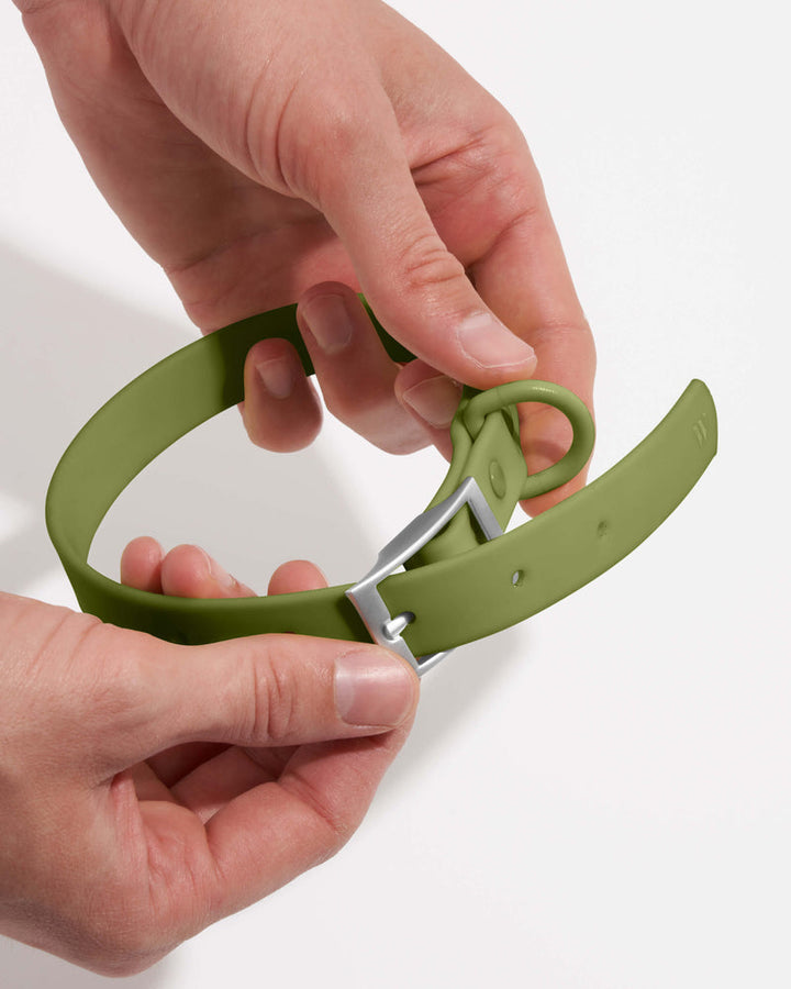 Adjustable Dog Collar