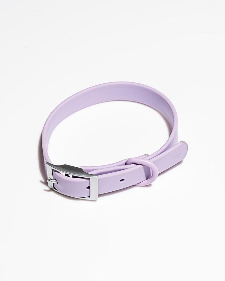 Adjustable Dog Collar