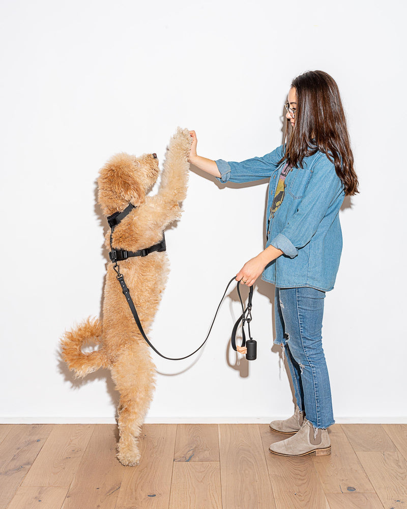 Adjustable Dog Leash