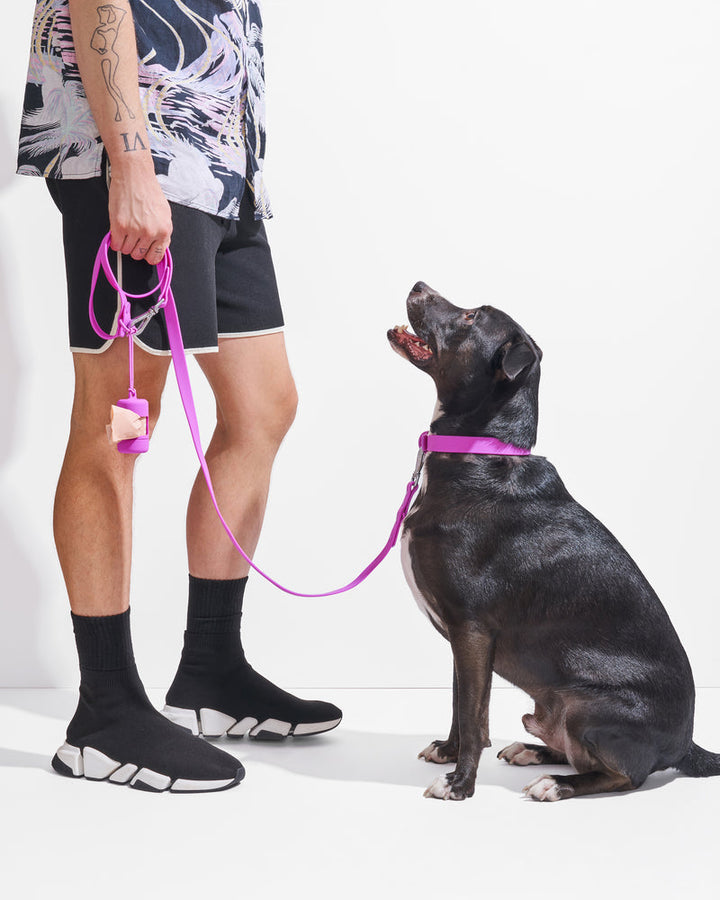 Adjustable Dog Leash