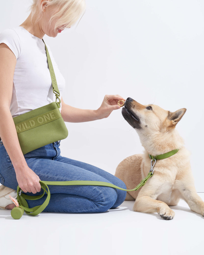Adjustable Dog Leash