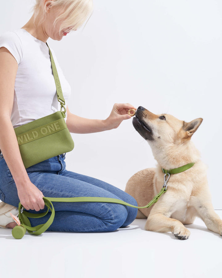 Adjustable Dog Leash