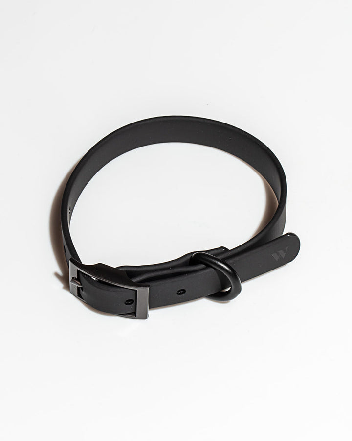 Adjustable Dog Collar
