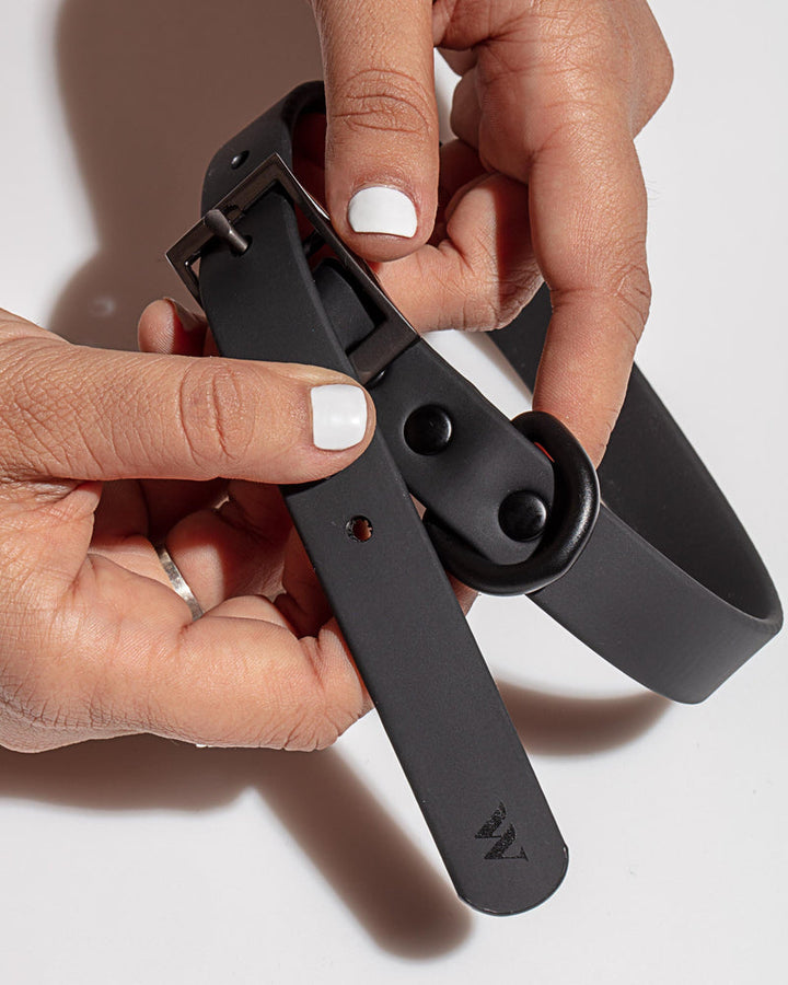 Adjustable Dog Collar