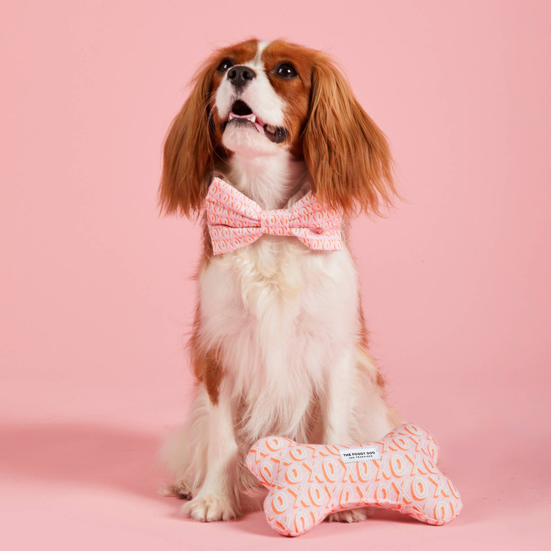 Hugs and Kisses Dog Bone Squeaky Toy