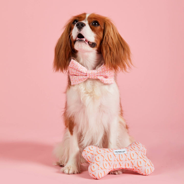 Hugs and Kisses Dog Bone Squeaky Toy