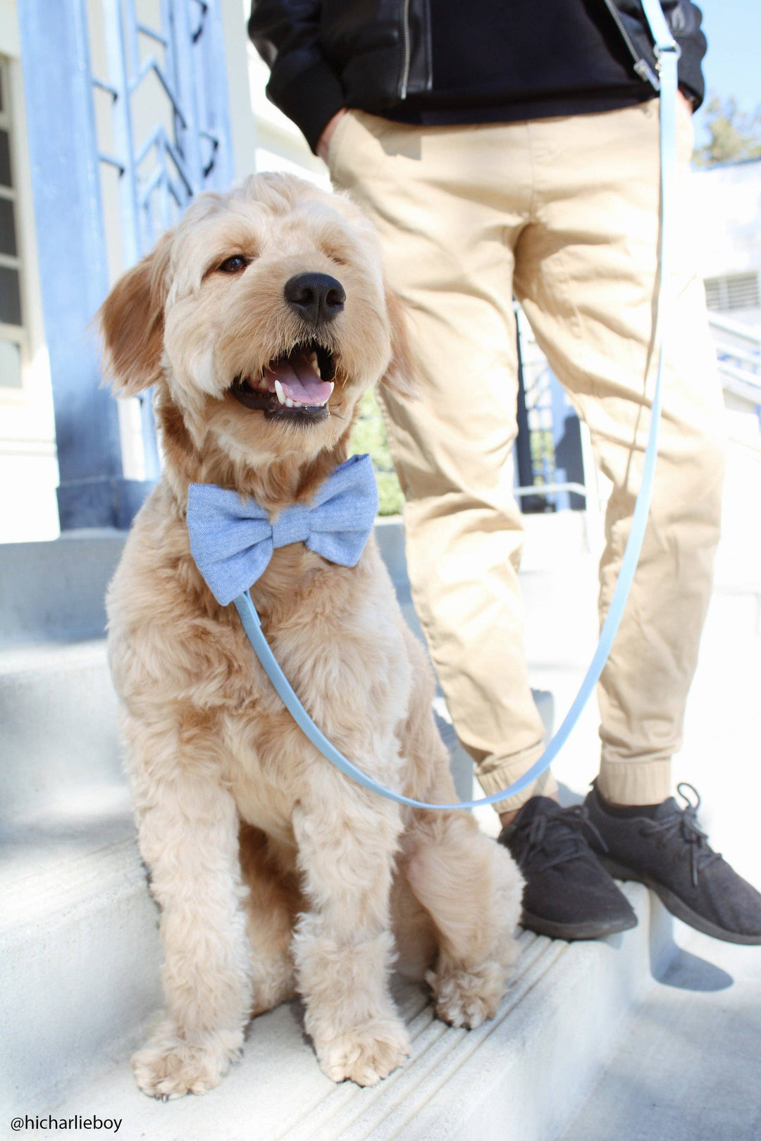 Cloud Hands-Free Convertible Leash