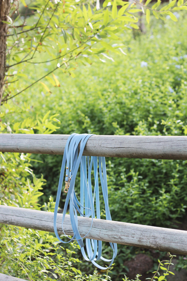 Cloud Waterproof Long Line Leash (30 ft)