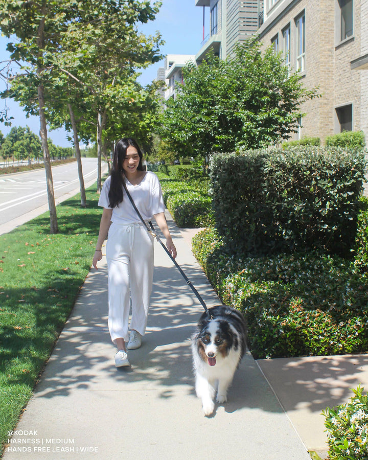 Cloud Wide Hands-Free Convertible Leash