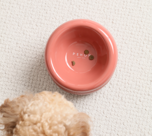 Soufflé Pet Bowl