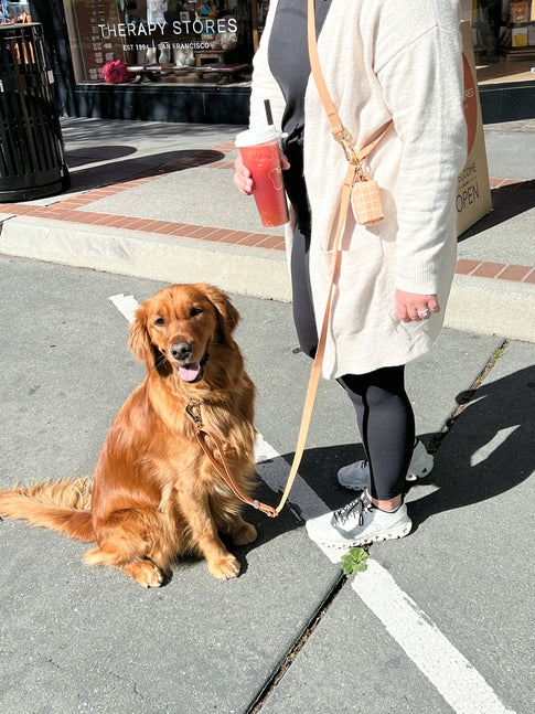 Cloud Wide Hands-Free Convertible Leash
