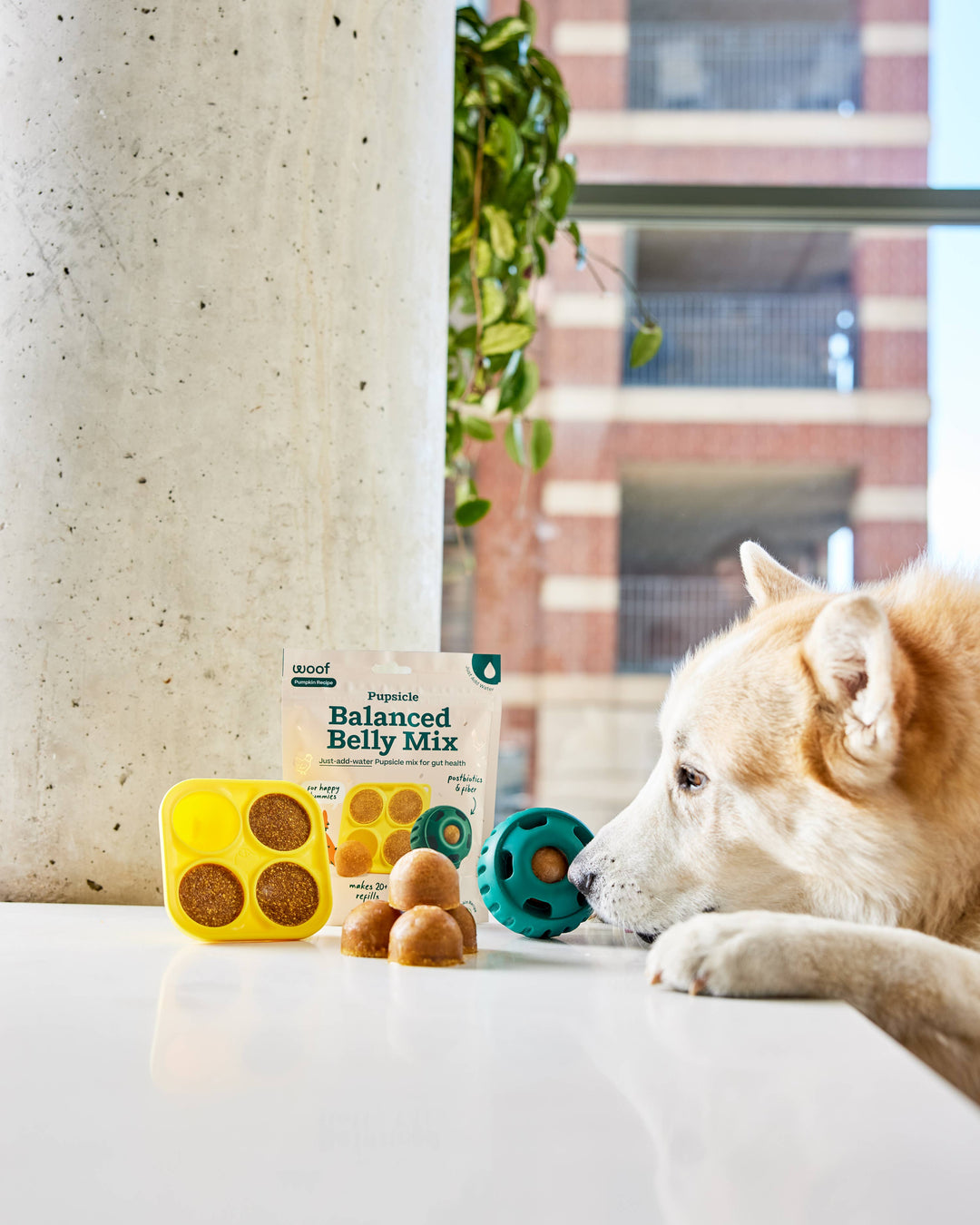 Pupsicle Treat Mix - Balanced Belly