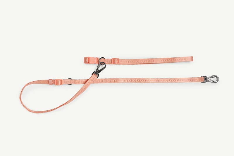 Signature Collar