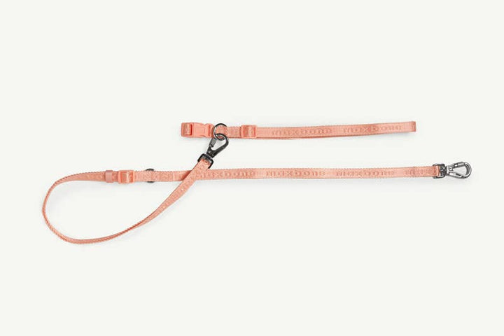 Signature Collar