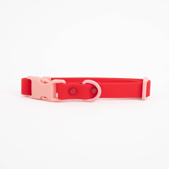 The Fritz Dog Collar