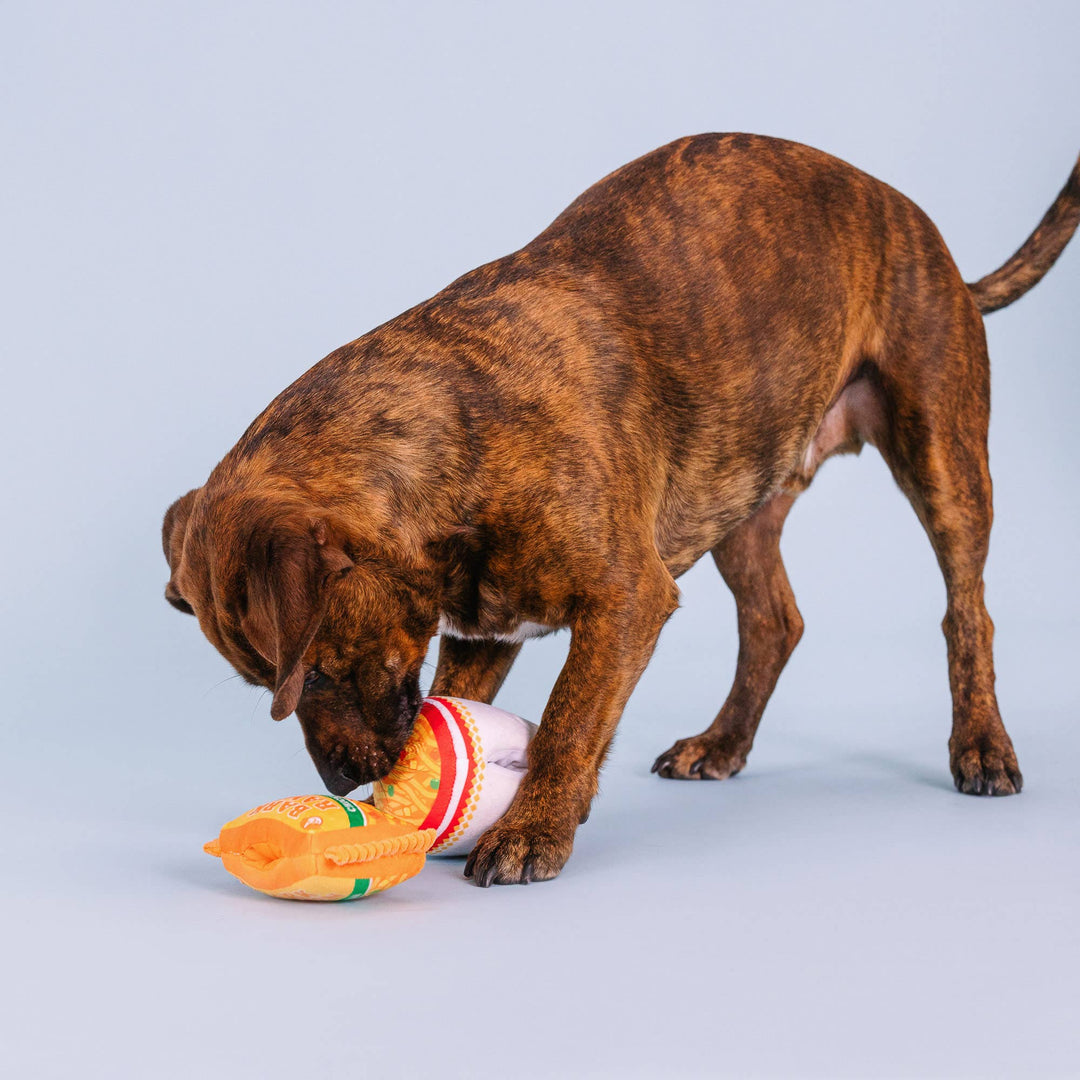 NOTHIN BUT NOODLES 2 PIECE  DOG TOY SET