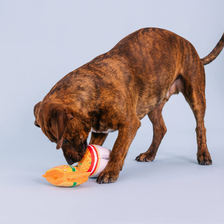 NOTHIN BUT NOODLES 2 PIECE  DOG TOY SET
