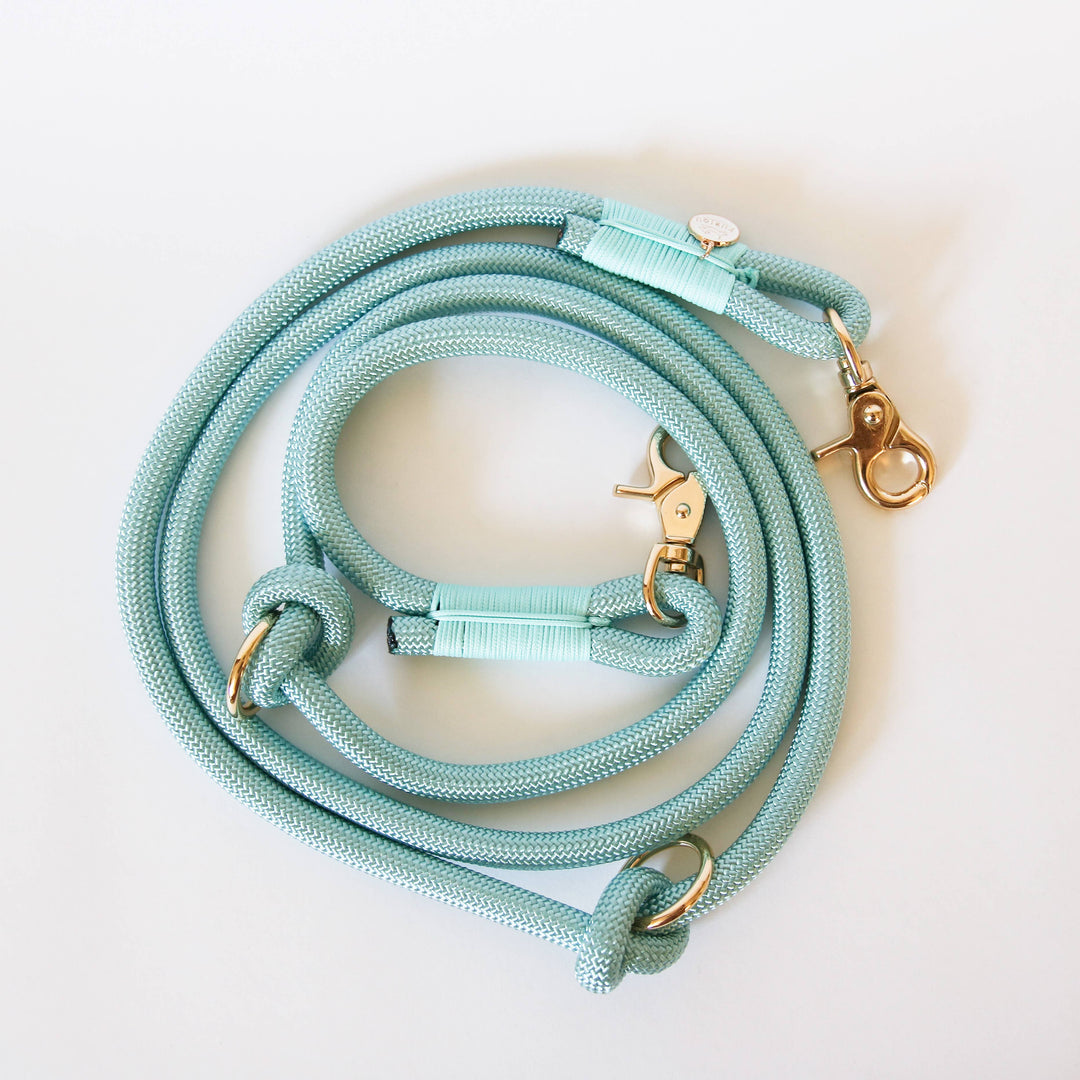 Hands-Free Convertible Rope Leash