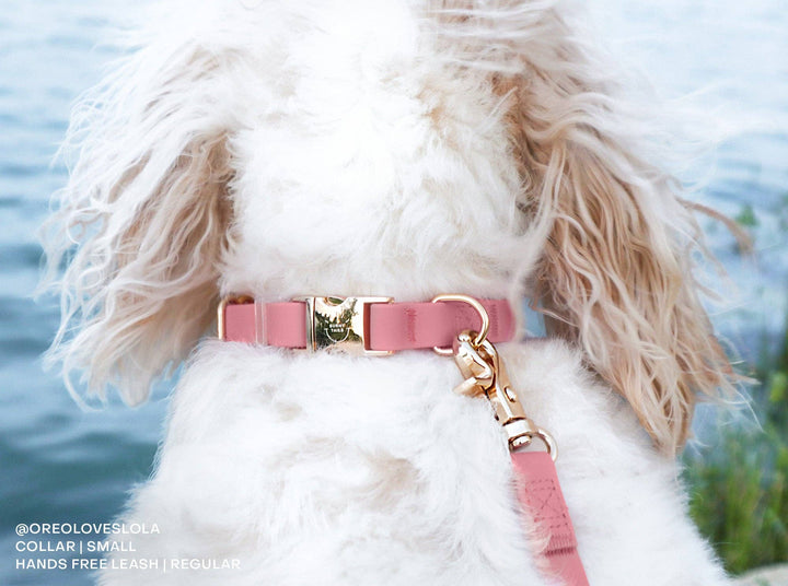 Cloud Waterproof Collar