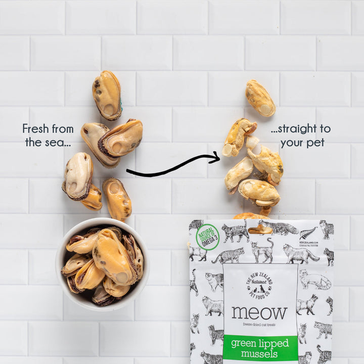 Freeze-Dried Green Lipped Mussels