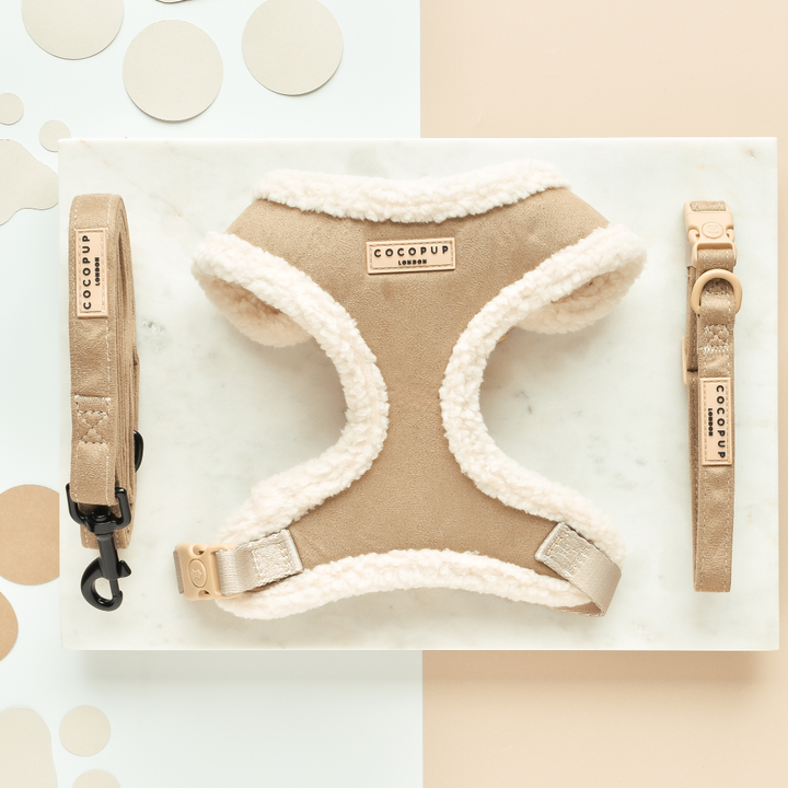 Aviator Adjustable Neck Harness