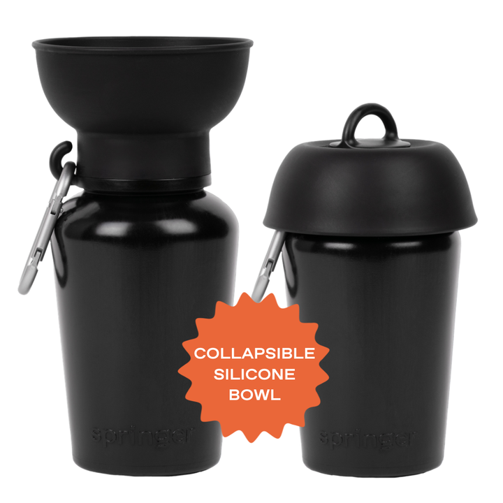 Flip Travel Water Bottle (20 oz)