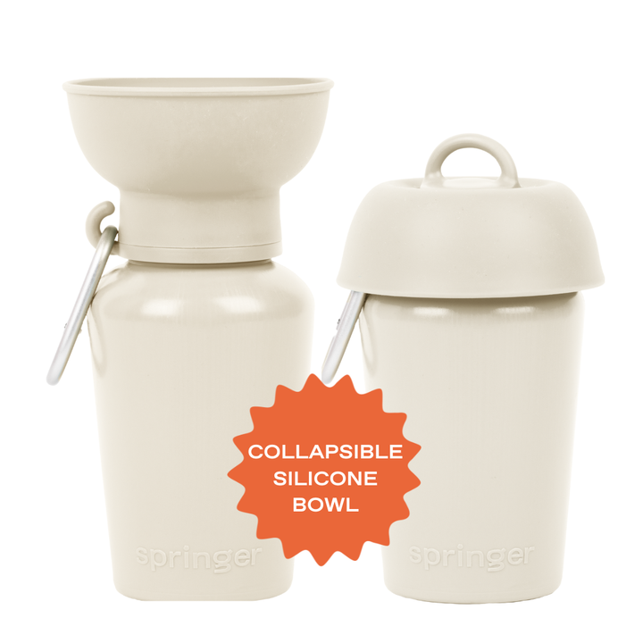Flip Travel Water Bottle (20 oz)