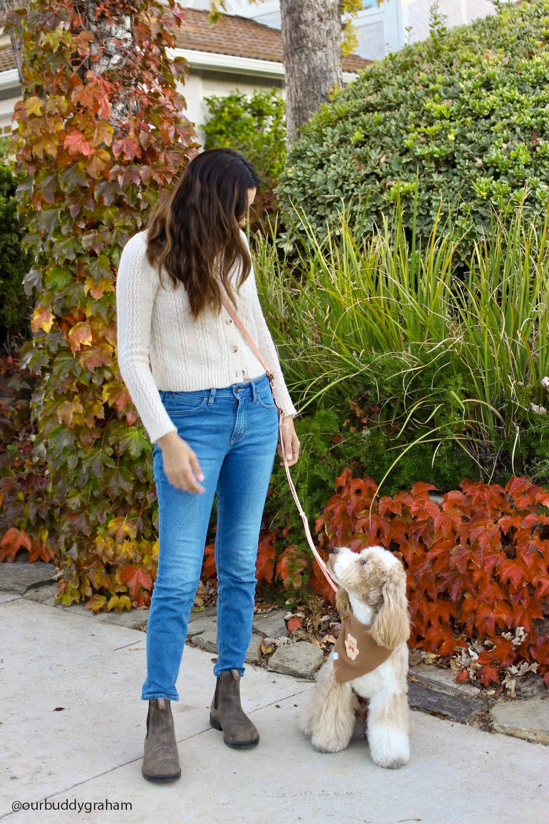 Cloud Hands-Free Convertible Leash