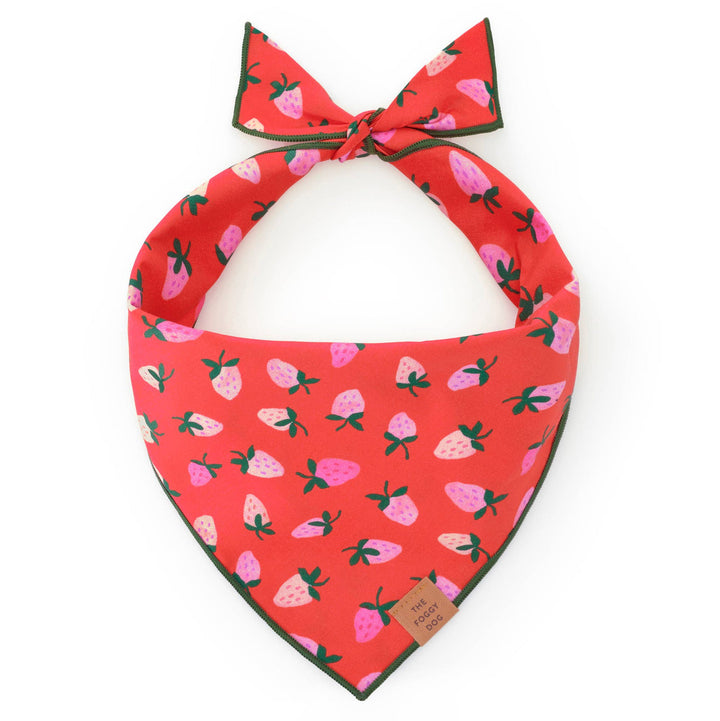 Berry Sweet Valentine's Day Bandana