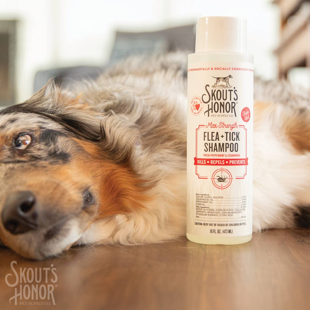 Flea & Tick Shampoo for Dogs