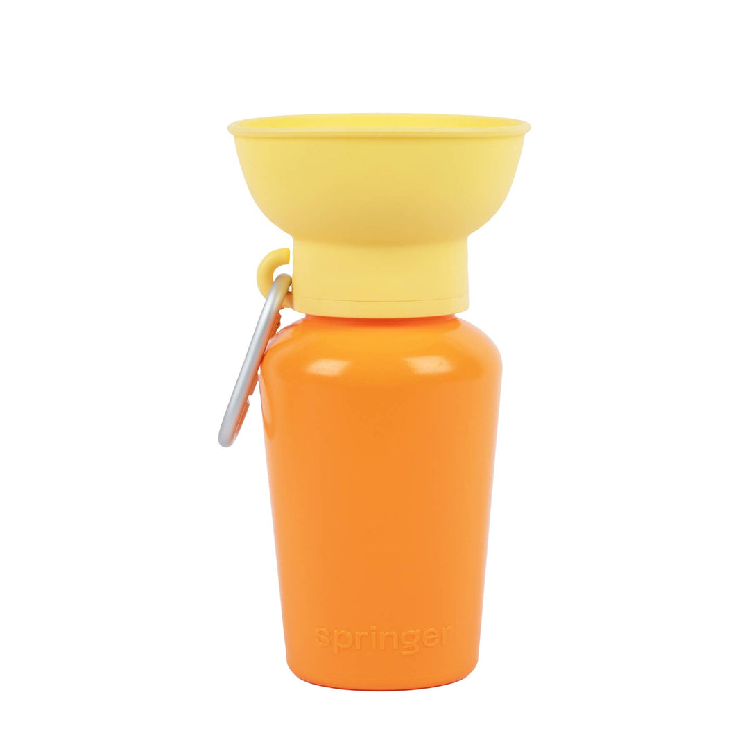 Flip Travel Water Bottle (Limited Edition Colors)