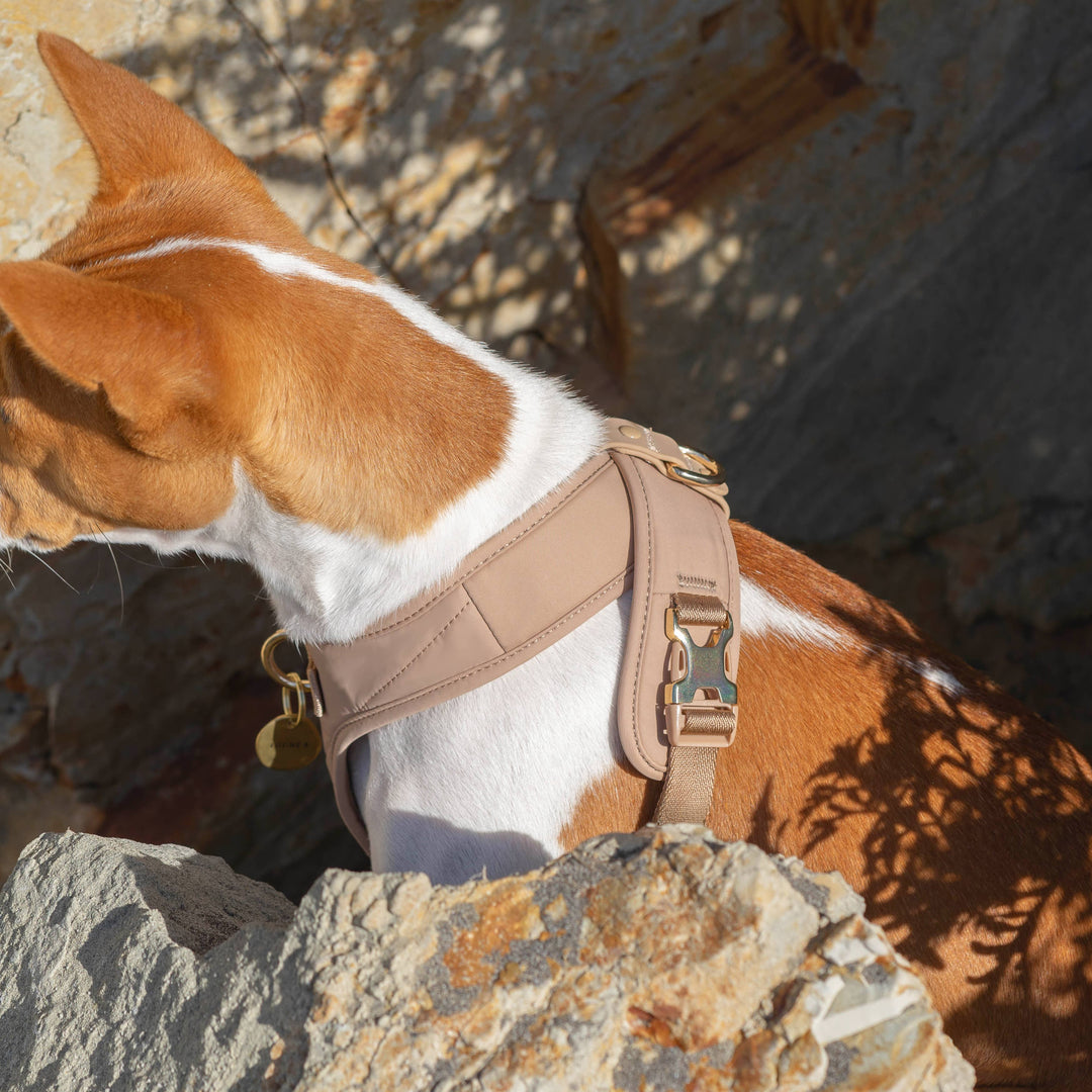 Roam Luxe Harness