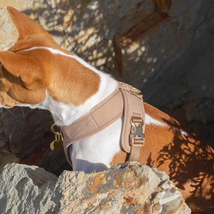 Roam Luxe Harness