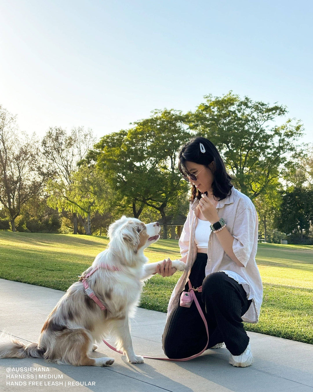 Cloud Hands-Free Convertible Leash