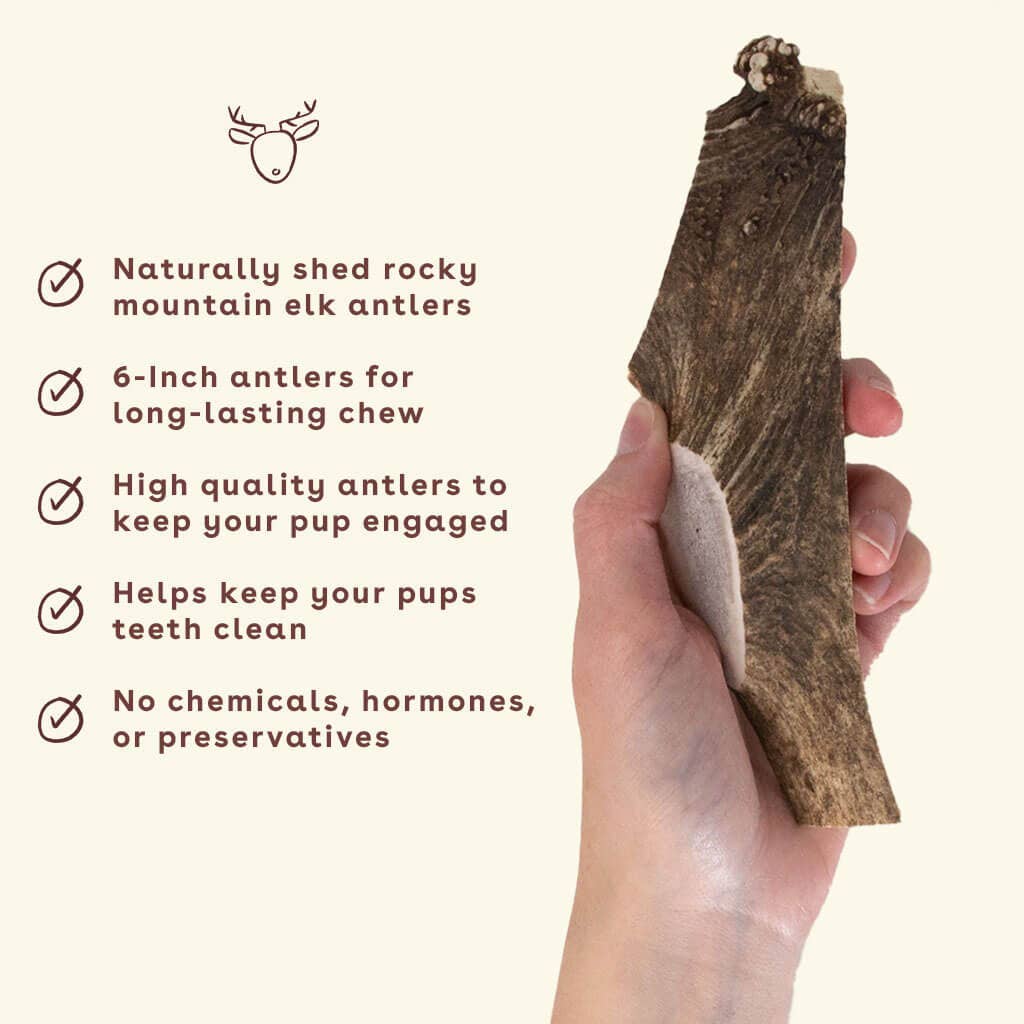Split Elk Antler Dog Chew Single Pack