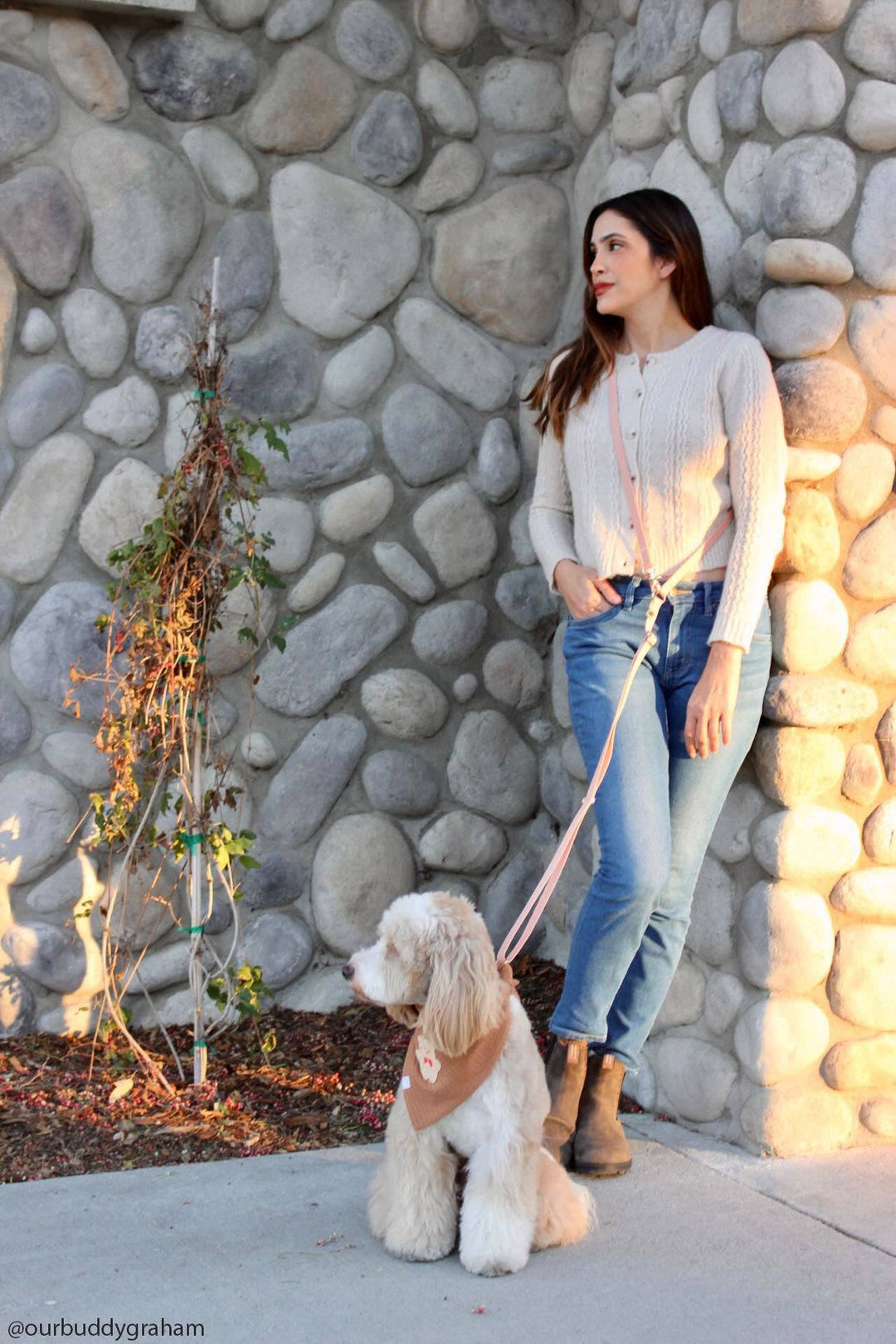 Cloud Hands-Free Convertible Leash