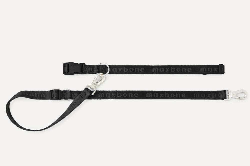 GO! With Ease Hands-Free Leash