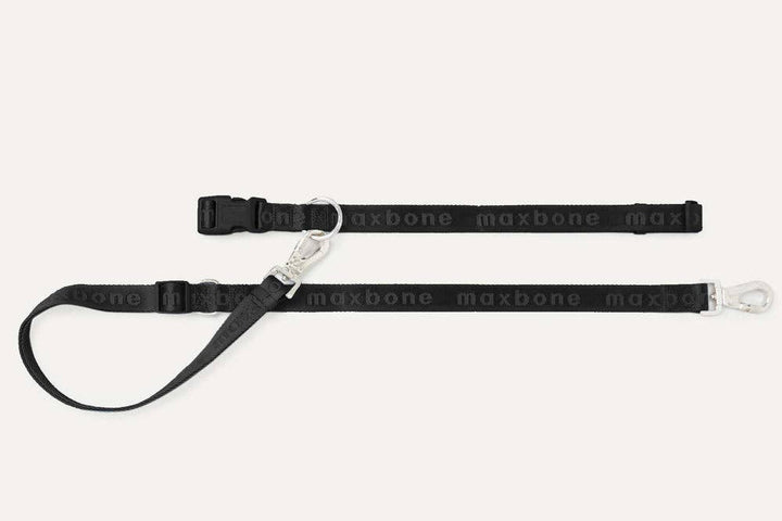 GO! With Ease Hands-Free Leash